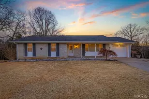 227 Rue Marne, Bonne Terre, MO 63628 - Photo 1