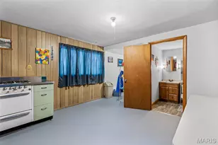 227 Rue Marne, Bonne Terre, MO 63628 - Photo 54