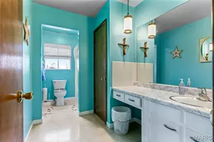 227 Rue Marne, Bonne Terre, MO 63628 - Photo 46