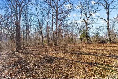 64 Mocking Bird Lane, Hawk Point, MO 63349 - Photo 28