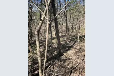 400 Hill Side Road, De Soto, MO 63020 - Photo 6