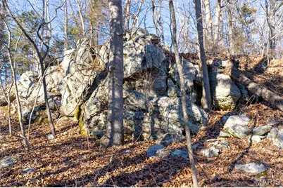 32 Hwy Yy, Cook Station, MO 65449 - Photo 52