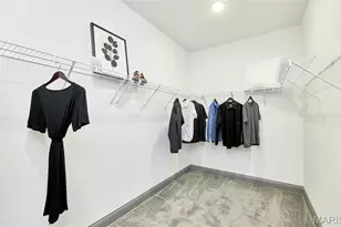 0 Magnolia (Alder Creek), Wright City, MO 63390 - Photo 28