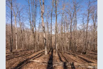 2832 Morgan Lake Drive, Innsbrook, MO 63390 - Photo 12