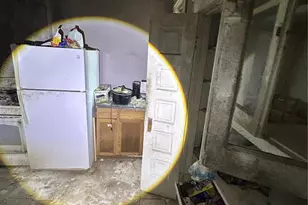 4210 Holly Ave, Saint Louis, MO 63115 - Photo 32