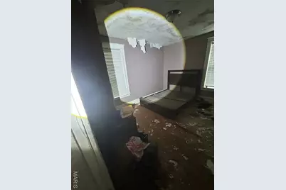 4210 Holly Avenue, Saint Louis, MO 63115 - Photo 28