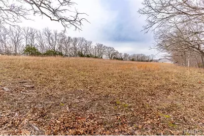 809 Sanctuary Farms Ridge Road, Festus, MO 63028 - Photo 24