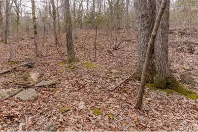 809 Sanctuary Farms Ridge Road, Festus, MO 63028 - Photo 22