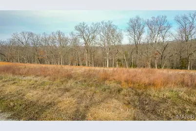 809 Sanctuary Farms Ridge Road, Festus, MO 63028 - Photo 10