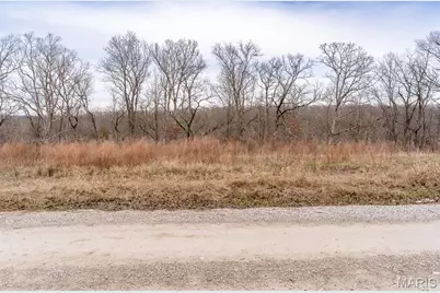 809 Sanctuary Farms Ridge Road, Festus, MO 63028 - Photo 38