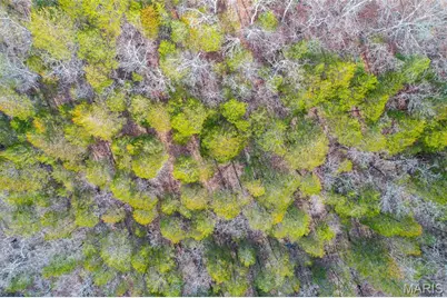 809 Sanctuary Farms Ridge Road, Festus, MO 63028 - Photo 12