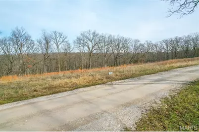 815 Sanctuary Farms Ridge Road, Festus, MO 63028 - Photo 32