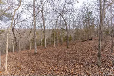 815 Sanctuary Farms Ridge Road, Festus, MO 63028 - Photo 16