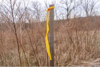 815 Sanctuary Farms Ridge Road, Festus, MO 63028 - Photo 28