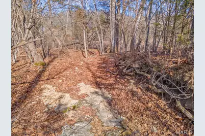 9106 Buckeye Road, Dittmer, MO 63023 - Photo 12