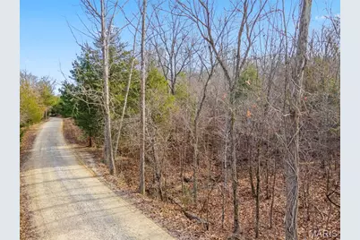 9106 Buckeye Road, Dittmer, MO 63023 - Photo 10