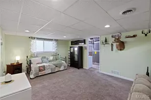 1012 Baypointe Dr, Imperial, MO 63052 - Photo 42