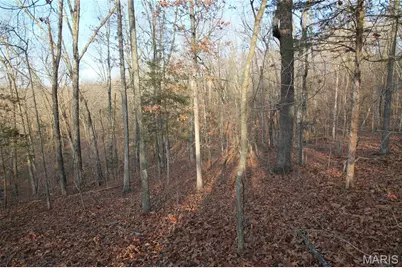 000 Glory Trail, De Soto, MO 63020 - Photo 28