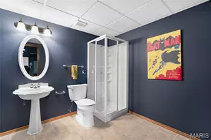 16805 Enderbush Ln, Saint Louis, MO 63025 - Photo 40