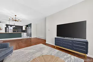 3841 California Ave, Saint Louis, MO 63118 - Photo 10