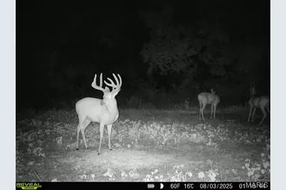 00 Highway D (77.2 +/- Acres ) Tract 1, New Melle, MO 63344 - Photo 58