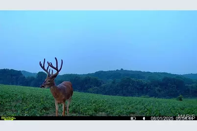 00 Highway D (77.2 +/- Acres ) Tract 1, New Melle, MO 63344 - Photo 60