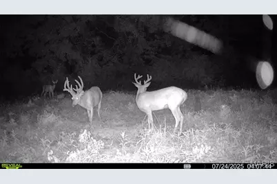 00 Highway D (77.2 +/- Acres ) Tract 1, New Melle, MO 63344 - Photo 52