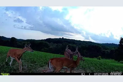 00 Highway D (77.2 +/- Acres ) Tract 1, New Melle, MO 63344 - Photo 64