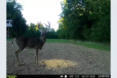 00 Highway D (77.2 +/- Acres ) Tract 1, New Melle, MO 63344 - Photo 46