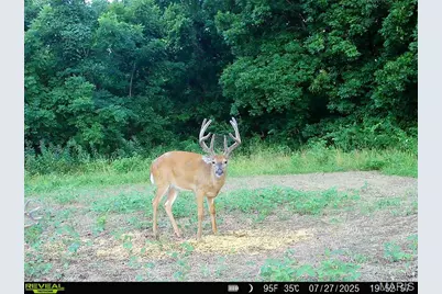 00 Highway D (77.2 +/- Acres ) Tract 1, New Melle, MO 63344 - Photo 40