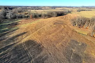 00 Hwy D (77 2 +/- Acres ) Tract 1, New Melle, MO 63344 - Photo 1