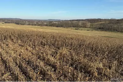 00 Highway D (77.2 +/- Acres ) Tract 1, New Melle, MO 63344 - Photo 6