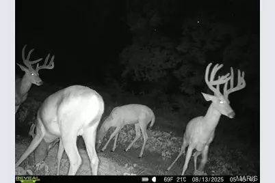 00 Highway D (77.2 +/- Acres ) Tract 1, New Melle, MO 63344 - Photo 56