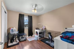 307 Francis Dr, Jackson, MO 63755 - Photo 22