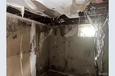 256 Shepley Drive, Saint Louis, MO 63137 - Photo 18