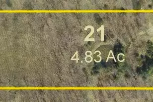 522 Hwy 49, Ellisville, MO 65456 - Photo 26