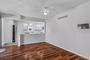 640 E Capri Dr, Bonne Terre, MO 63628 - Photo 36