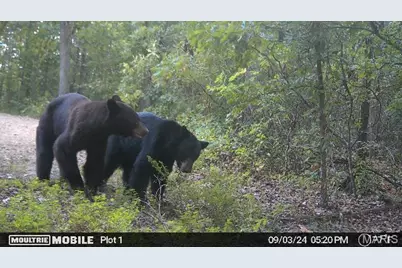 3 Lodge Road, Bourbon, MO 65565 - Photo 34