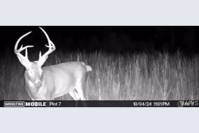 3 Lodge Road, Bourbon, MO 65565 - Photo 26