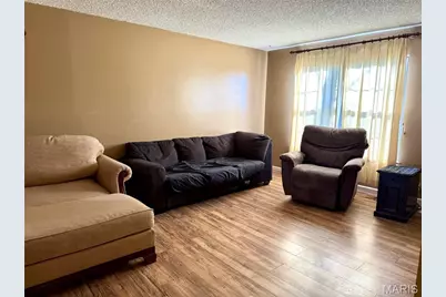 9734 Raintree Village Drive #4B, Hillsboro, MO 63050 - Photo 4