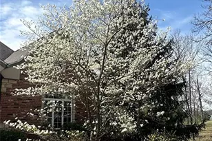 2535 S Hwy 19, Salem, MO 65560 - Photo 74