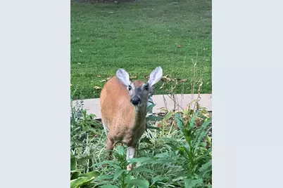 2535 S Highway 19, Salem, MO 65560 - Photo 72