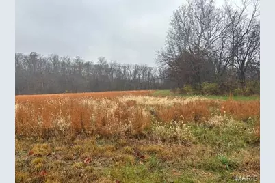 113 Bridlespur Court, Hawk Point, MO 63349 - Photo 74