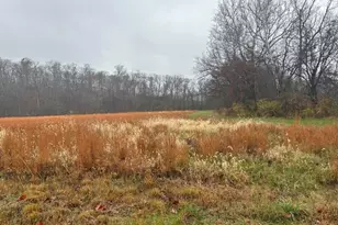 113 Bridlespur Ct, Hawk Point, MO 63349 - Photo 74