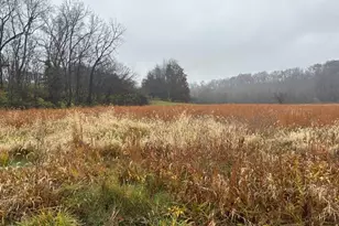 113 Bridlespur Ct, Hawk Point, MO 63349 - Photo 80