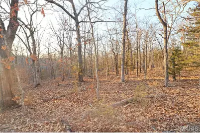 0 Perkins Road, Saint Clair, MO 63077 - Photo 8
