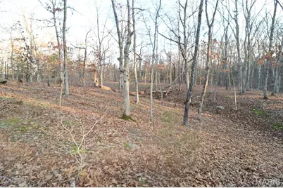 0 Perkins Road, Saint Clair, MO 63077 - Photo 6
