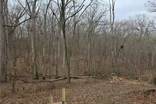 1695 Wade Rd, Pacific, MO 63069 - Photo 4