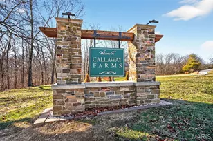 2 Woodridge Dr, Defiance, MO 63341 - Photo 2