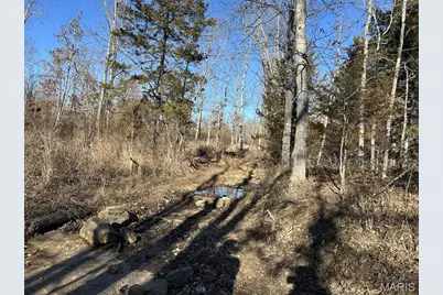 0 Kitchen Road, Leasburg, MO 65535 - Photo 8